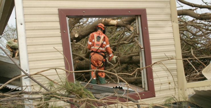 emergency worker in safety clothing cuts fallen trees with chainsaw (framed through fallen window)