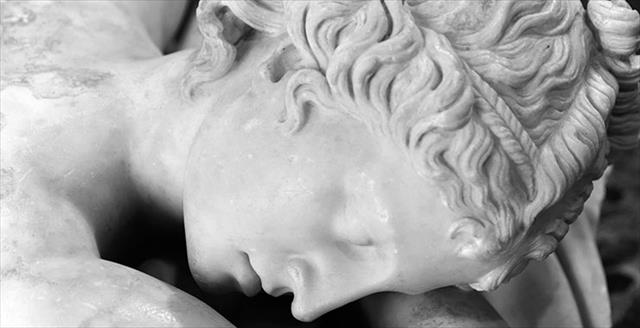 The Sleeping Hermaphrodite