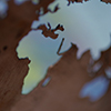 Understanding the World Around Us