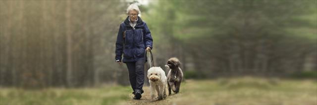 Family Caregiver 