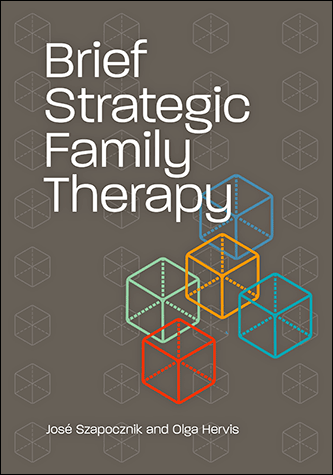 Cover of Brief Strategic Family Therapy (large)