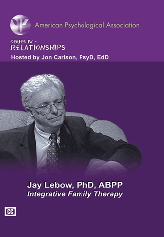 Cover of Integrative Family Therapy (large)