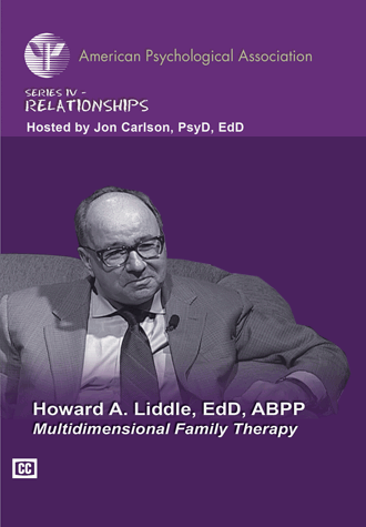 Cover of Multidimensional Family Therapy (large)