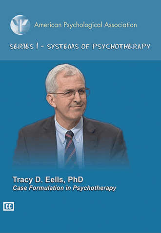 Cover of Case Formulation in Psychotherapy (large)