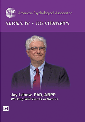 Cover of Working With Issues in Divorce (large)